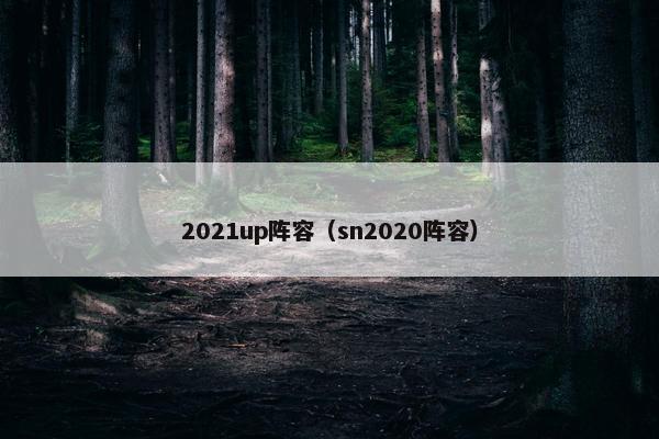 2021up阵容（sn2020阵容）