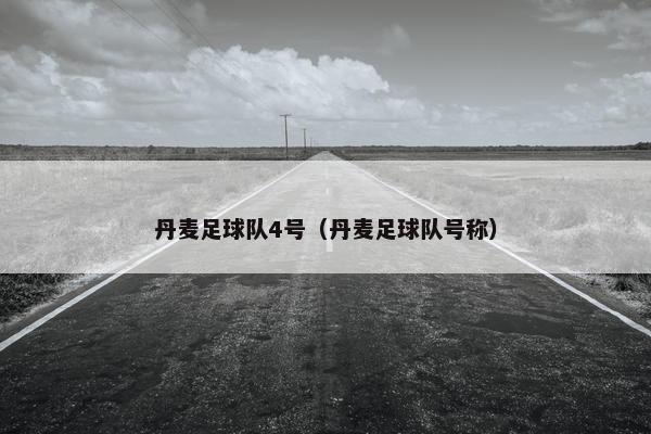 丹麦足球队4号（丹麦足球队号称）