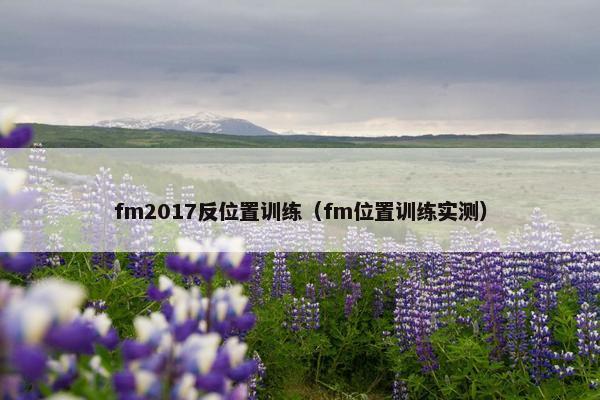 fm2017反位置训练（fm位置训练实测）