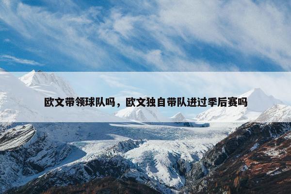 欧文带领球队吗，欧文独自带队进过季后赛吗