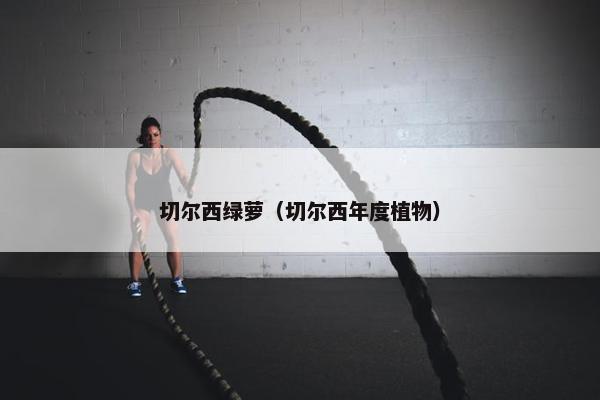 切尔西绿萝（切尔西年度植物）