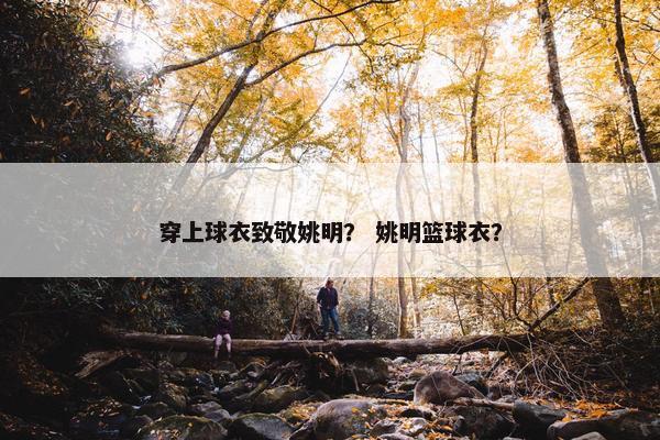 穿上球衣致敬姚明？ 姚明篮球衣？