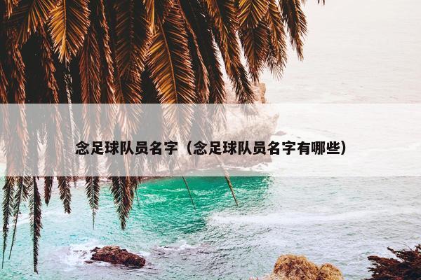 念足球队员名字（念足球队员名字有哪些）
