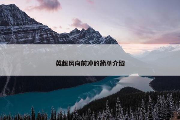 英超风向前冲的简单介绍