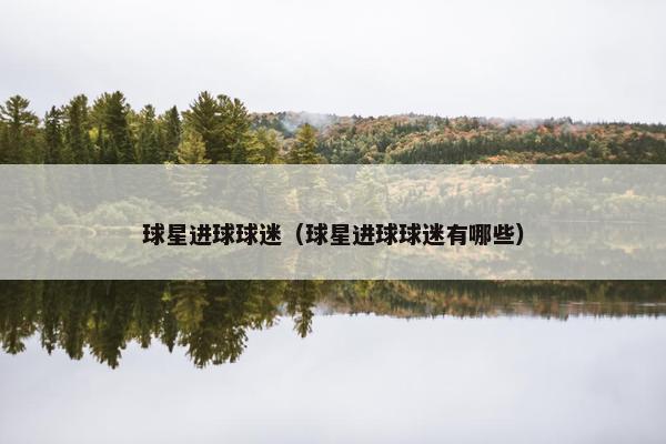 球星进球球迷（球星进球球迷有哪些）
