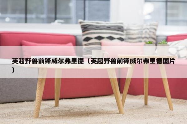英超野兽前锋威尔弗里德（英超野兽前锋威尔弗里德图片）