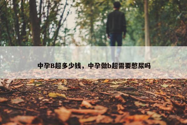 中孕B超多少钱，中孕做b超需要憋尿吗