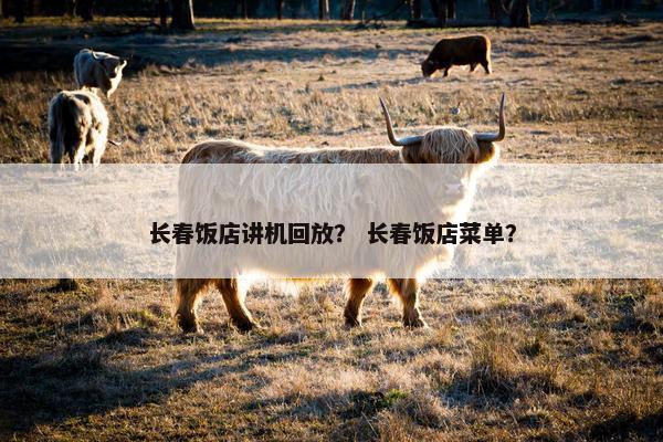 长春饭店讲机回放？ 长春饭店菜单？