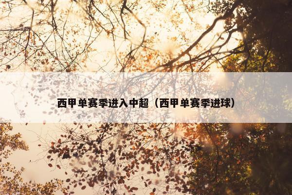 西甲单赛季进入中超（西甲单赛季进球）