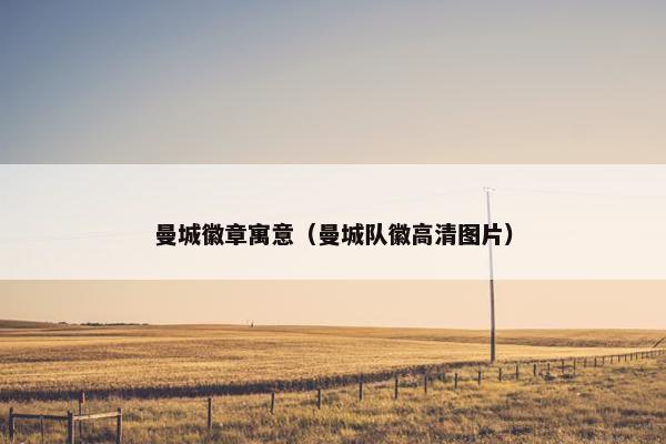 曼城徽章寓意（曼城队徽高清图片）