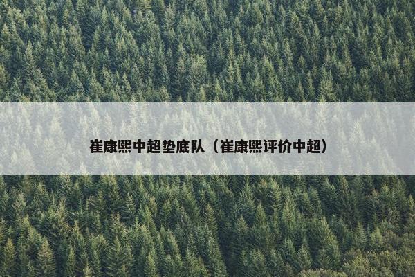 崔康熙中超垫底队（崔康熙评价中超）