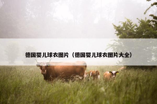德国婴儿球衣图片（德国婴儿球衣图片大全）