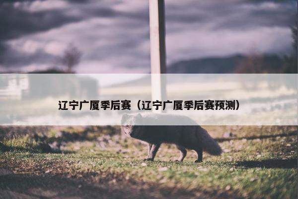 辽宁广厦季后赛（辽宁广厦季后赛预测）