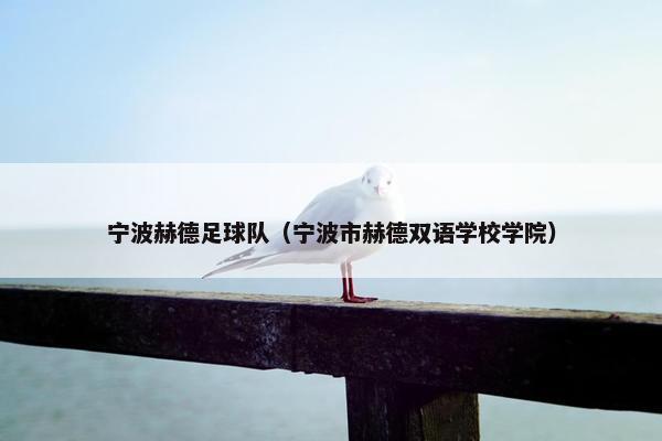 宁波赫德足球队（宁波市赫德双语学校学院）