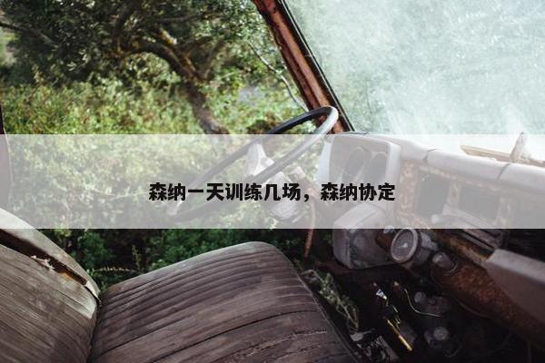 森纳一天训练几场，森纳协定