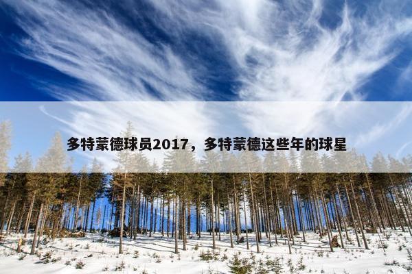 多特蒙德球员2017，多特蒙德这些年的球星