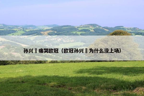 孙兴慜痛哭欧冠（欧冠孙兴慜为什么没上场）