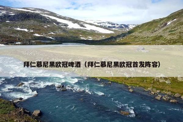 拜仁慕尼黑欧冠啤酒（拜仁慕尼黑欧冠首发阵容）