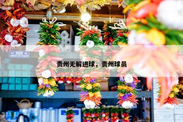 贵州无解进球，贵州球员