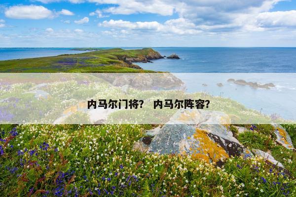 内马尔门将？ 内马尔阵容？