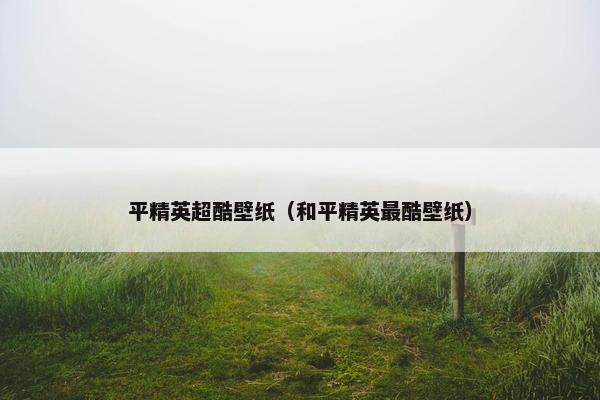 平精英超酷壁纸（和平精英最酷壁纸）