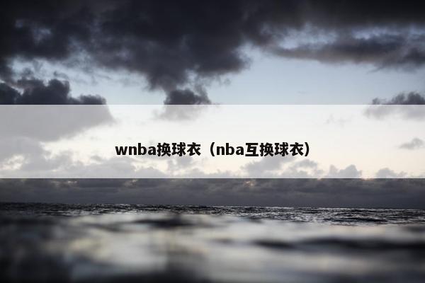 wnba换球衣（nba互换球衣）