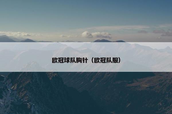 欧冠球队胸针（欧冠队服）