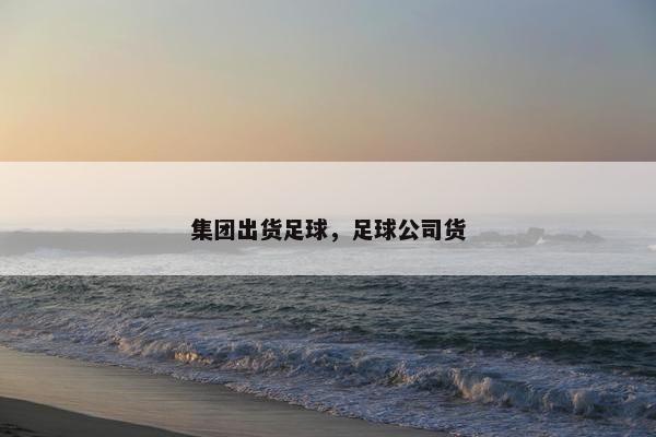 集团出货足球，足球公司货