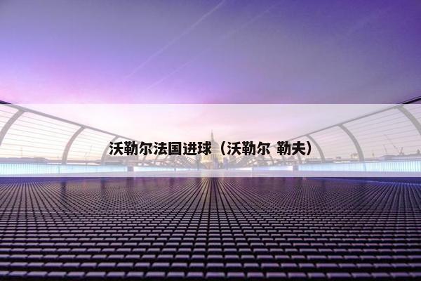 沃勒尔法国进球（沃勒尔 勒夫）