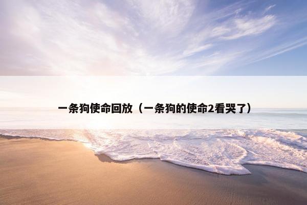 一条狗使命回放（一条狗的使命2看哭了）