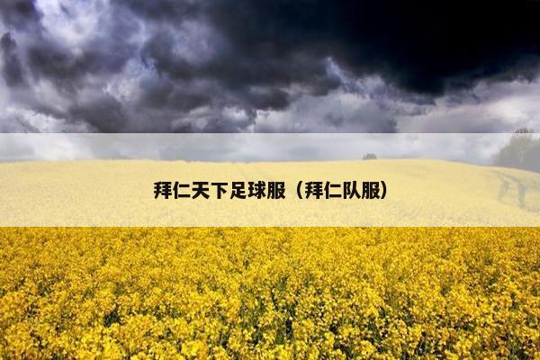 拜仁天下足球服（拜仁队服）