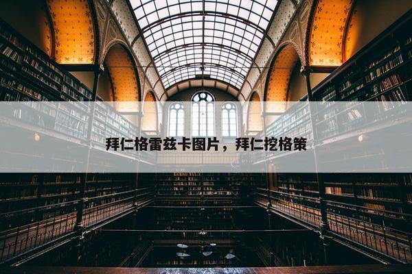 拜仁格雷兹卡图片，拜仁挖格策
