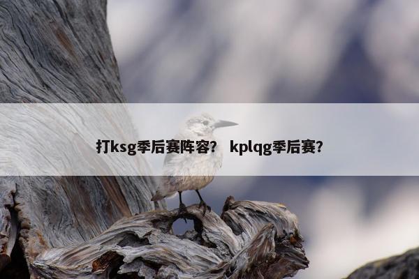 打ksg季后赛阵容？ kplqg季后赛？