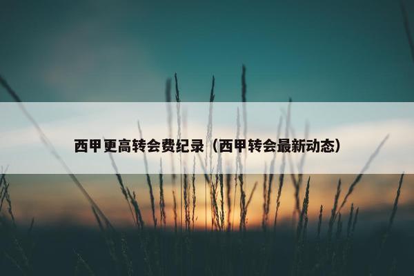 西甲更高转会费纪录（西甲转会最新动态）