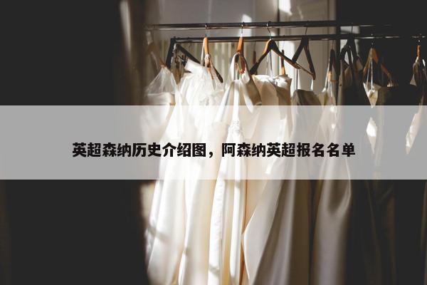 英超森纳历史介绍图，阿森纳英超报名名单