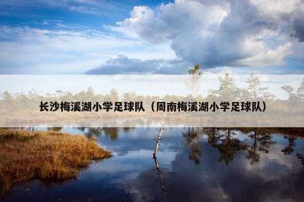 长沙梅溪湖小学足球队（周南梅溪湖小学足球队）