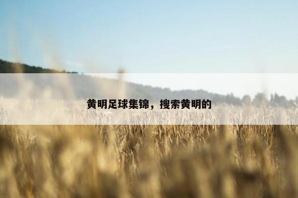黄明足球集锦，搜索黄明的