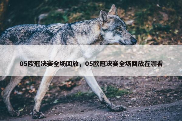 05欧冠决赛全场回放，05欧冠决赛全场回放在哪看