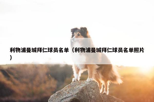 利物浦曼城拜仁球员名单（利物浦曼城拜仁球员名单照片）