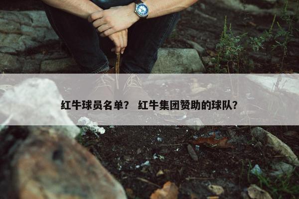 红牛球员名单？ 红牛集团赞助的球队？