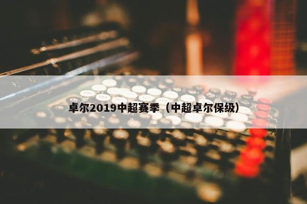 卓尔2019中超赛季（中超卓尔保级）