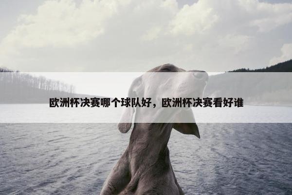欧洲杯决赛哪个球队好，欧洲杯决赛看好谁