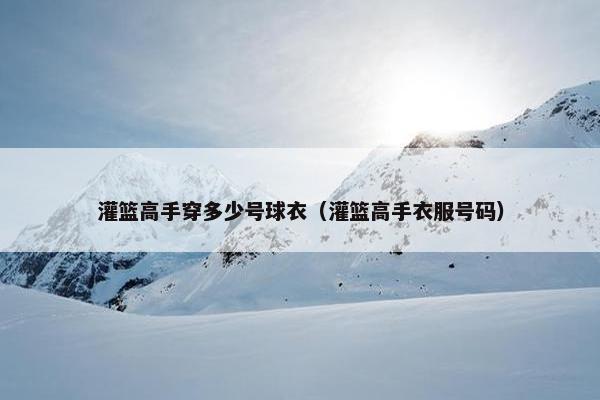 灌篮高手穿多少号球衣（灌篮高手衣服号码）