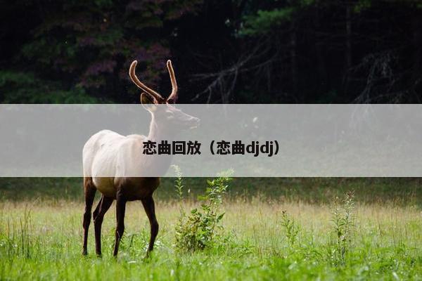 恋曲回放（恋曲djdj）