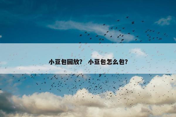 小豆包回放？ 小豆包怎么包？