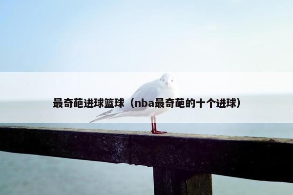 最奇葩进球篮球（nba最奇葩的十个进球）