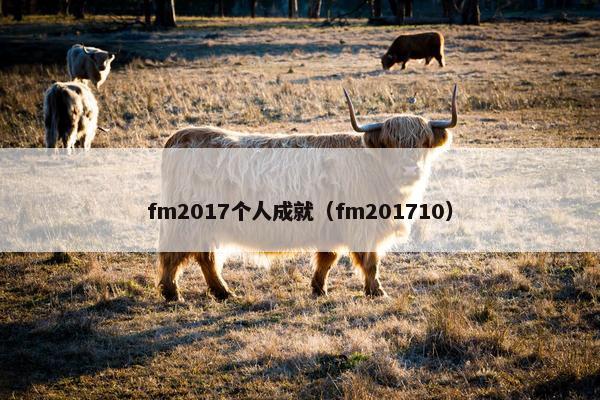 fm2017个人成就（fm201710）