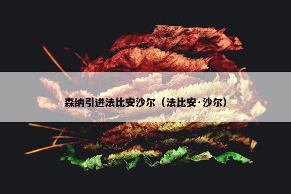 森纳引进法比安沙尔（法比安·沙尔）