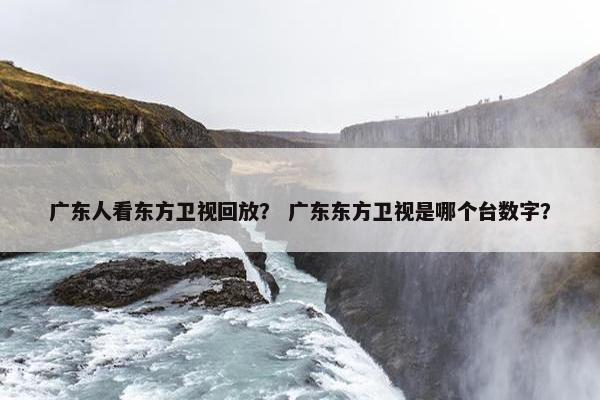 广东人看东方卫视回放？ 广东东方卫视是哪个台数字？