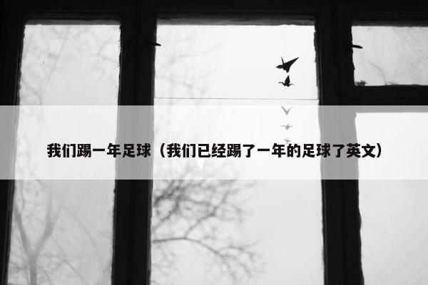 我们踢一年足球（我们已经踢了一年的足球了英文）